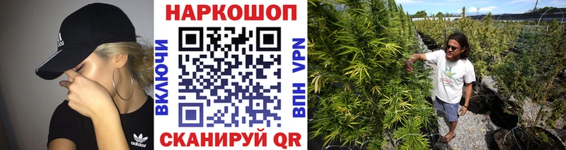 Купить наркотики цена Бердск СОЛЬ  МЕФ  Cocaine  ГАШ  Каннабис 